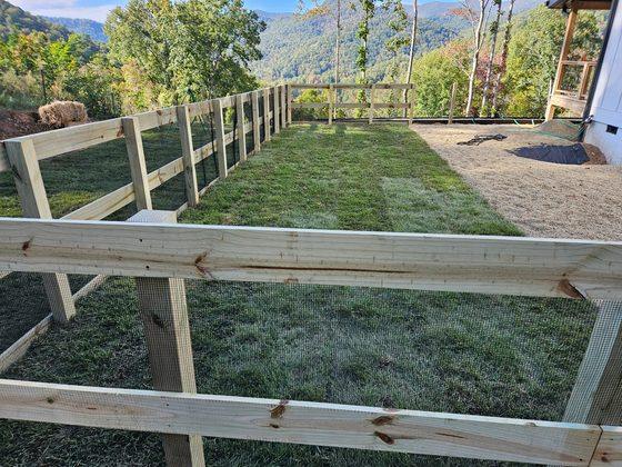 Rail-and-mesh enclosure around a sodded yard